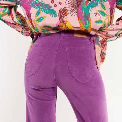 HARRY Pant Violet